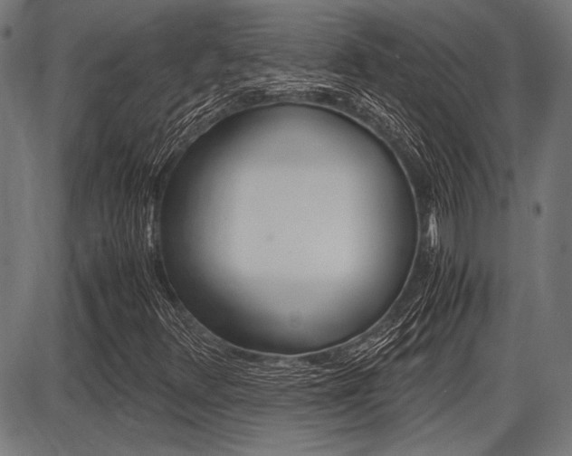 X0000087691348200705040811