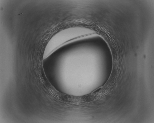 X0000087691349200705040811