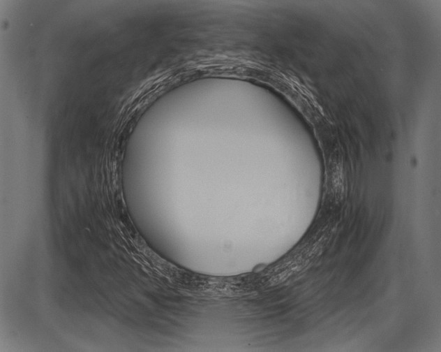 X0000087691350200705040811