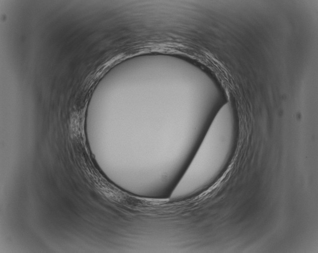 X0000087691353200705040811
