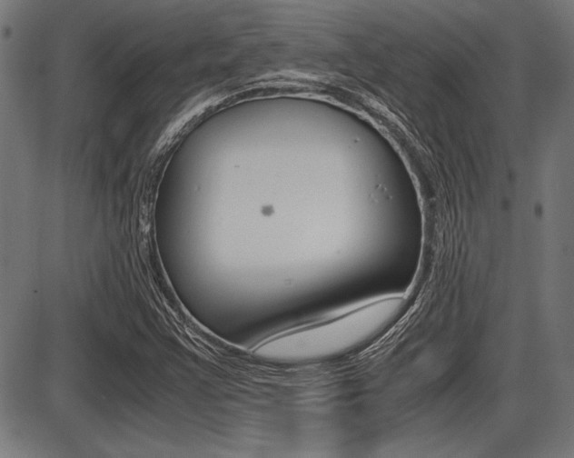 X0000087691355200705040811