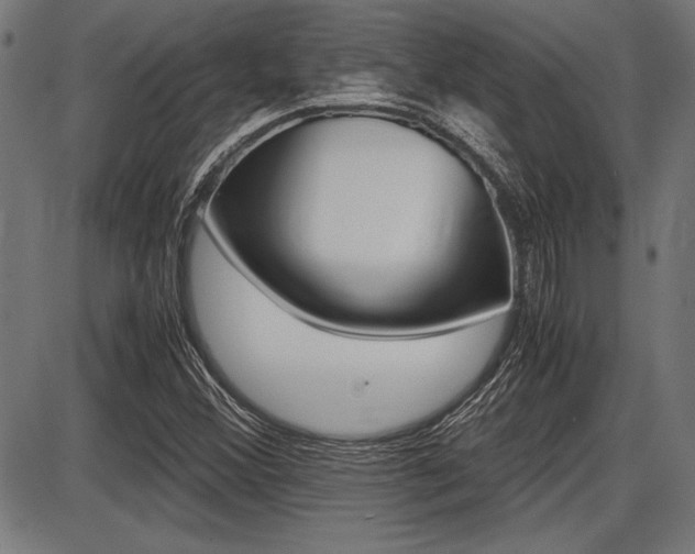 X0000087691356200705040811