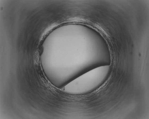 X0000087691358200705040811