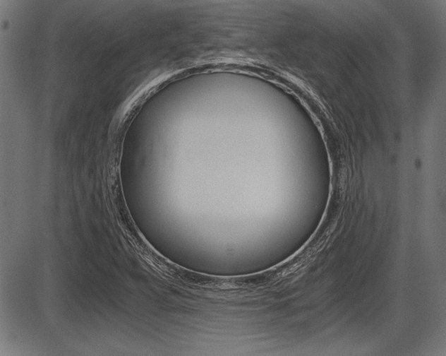 X0000087691359200705040811