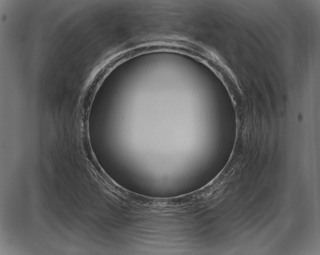 X0000087691360200705040811