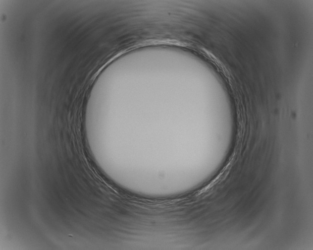 X0000087691361200705040811