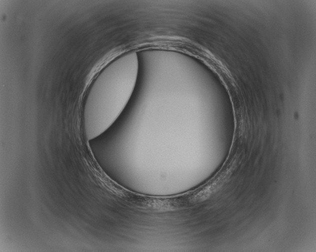 X0000087691362200705040811