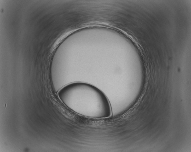 X0000087691363200705040811