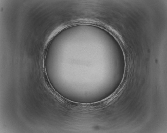 X0000087691365200705040811