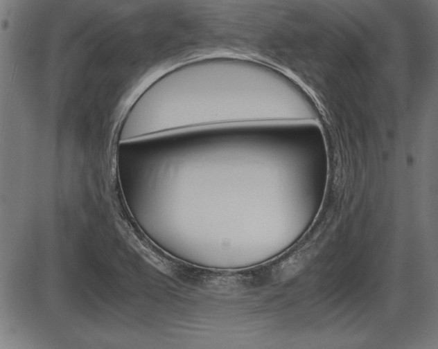X0000087691367200705040811