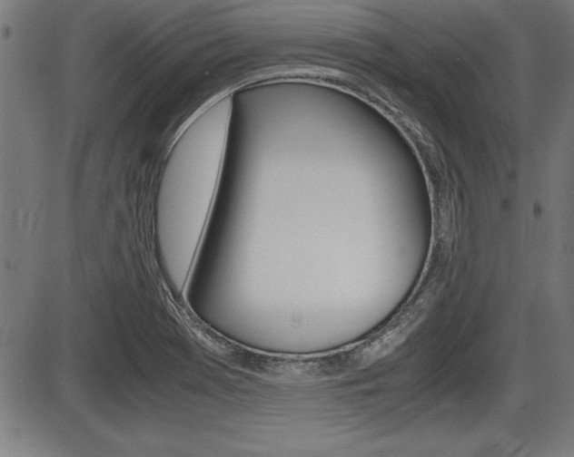 X0000087691369200705040811