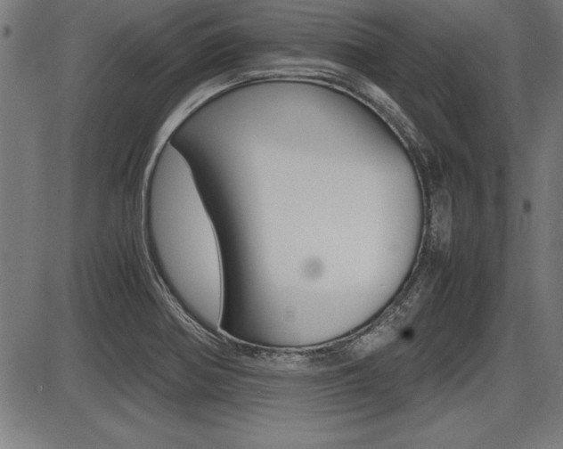 X0000087691370200705040811