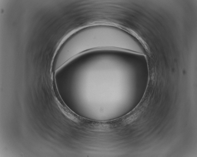 X0000087691372200705040811