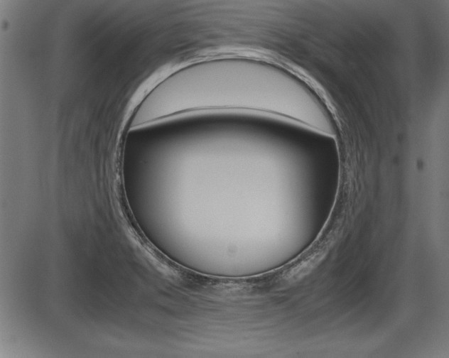 X0000087691373200705040811