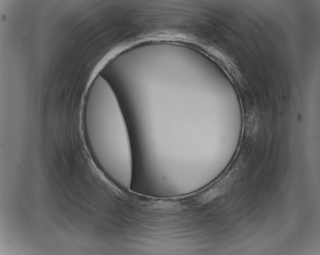 X0000087691374200705040811
