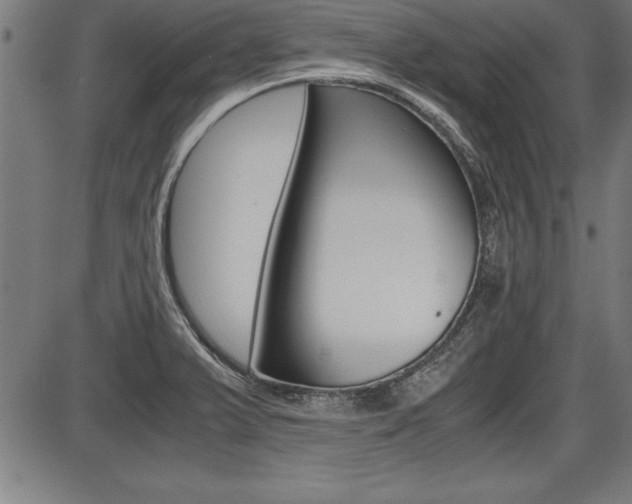 X0000087691375200705040811