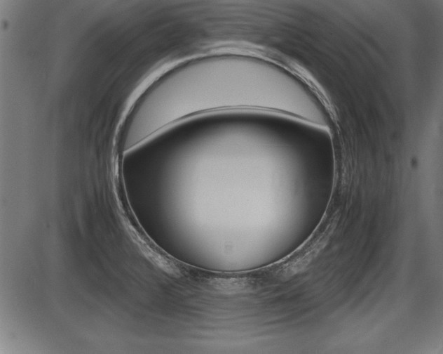 X0000087691376200705040811