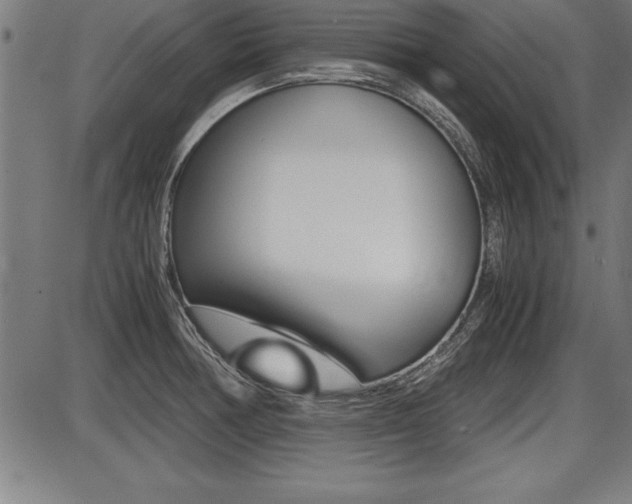 X0000087691378200705040811
