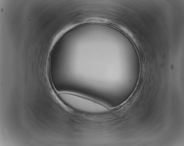 X0000087691379200705040810