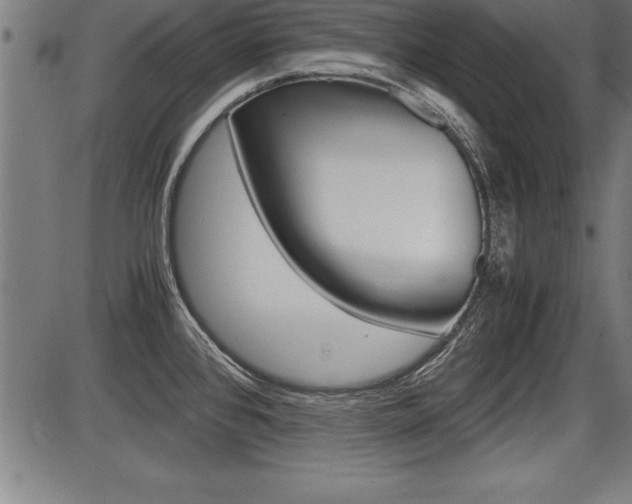 X0000087691384200705040810