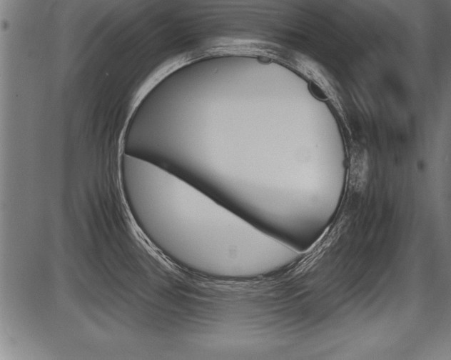 X0000087691386200705040810