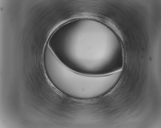 X0000087691388200705040810
