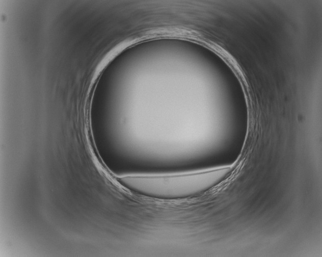 X0000087691389200705040810