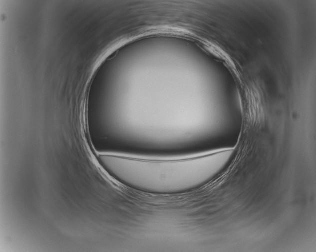 X0000087691391200705040810
