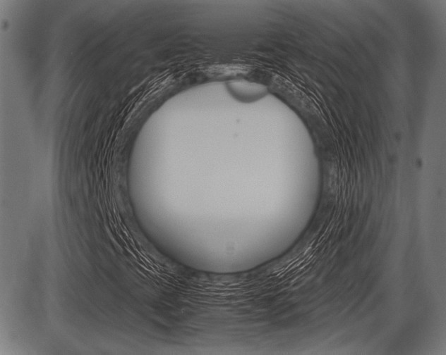 X0000087691393200705040810