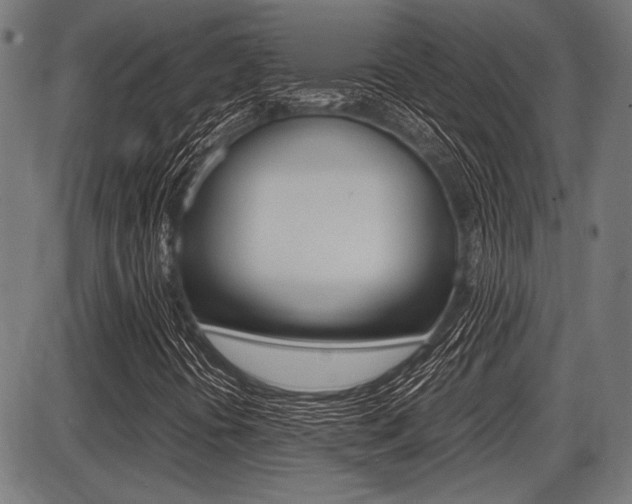 X0000087691394200705040810