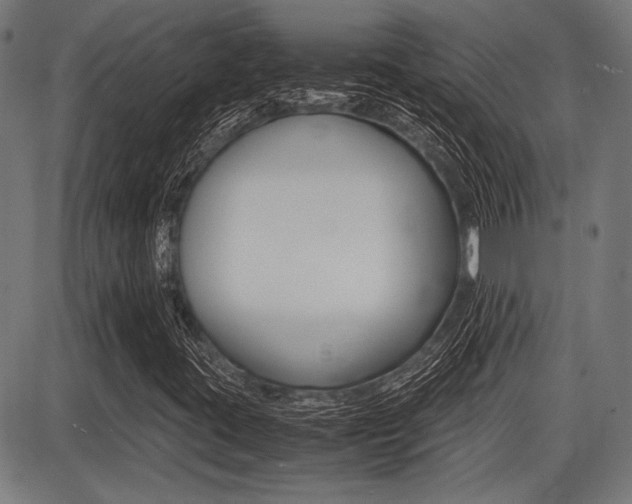 X0000087691395200705040810