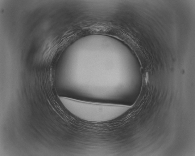 X0000087691396200705040810