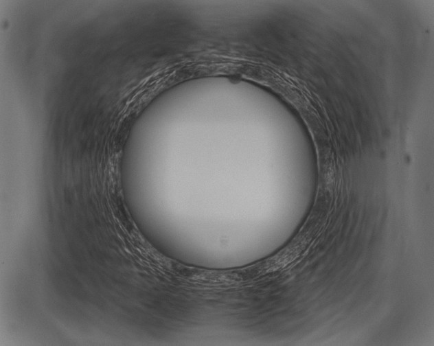 X0000087691397200705040810