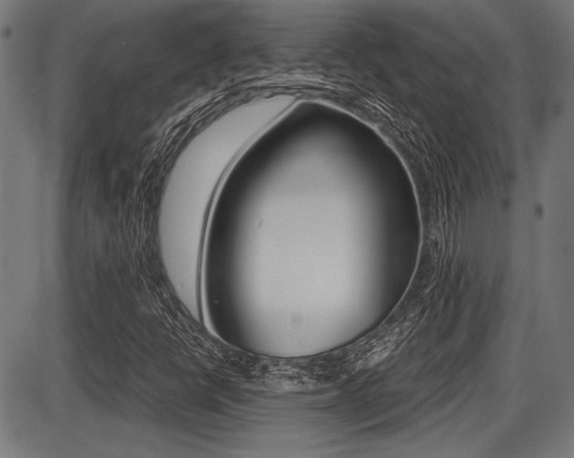 X0000087691398200705040810