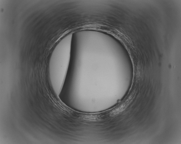 X0000087691401200705040810