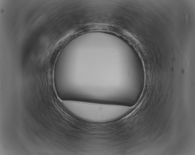 X0000087691403200705040810