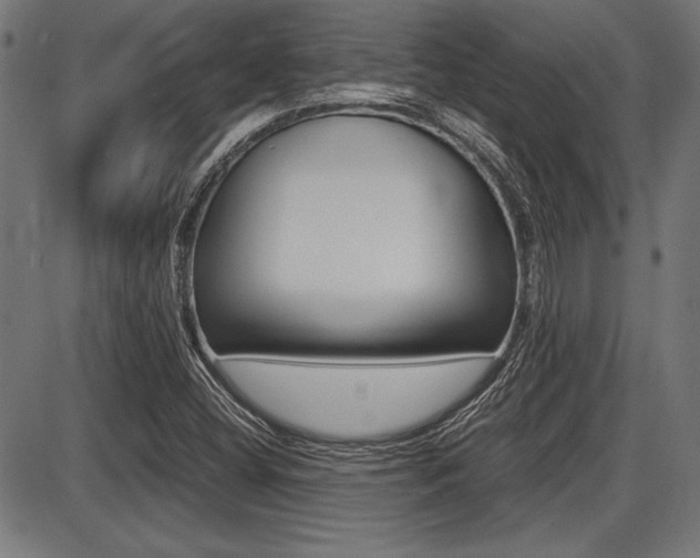 X0000087691404200705040810
