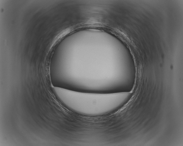 X0000087691405200705040810