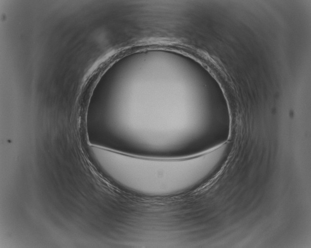 X0000087691406200705040810