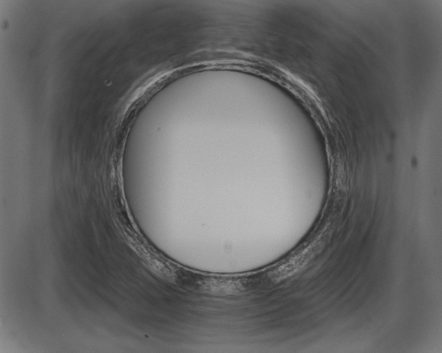 X0000087691407200705040810