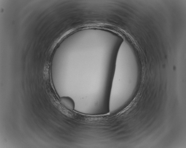X0000087691409200705040810