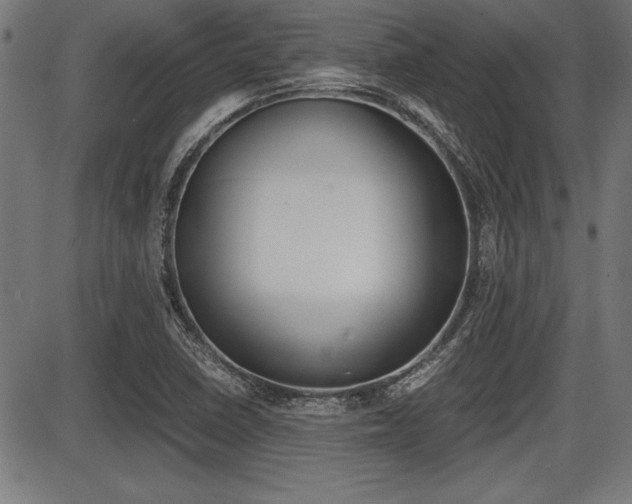 X0000087691410200705040810
