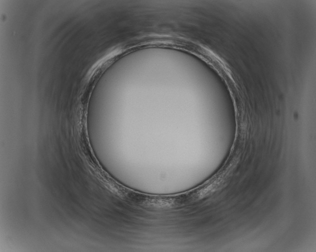 X0000087691411200705040810