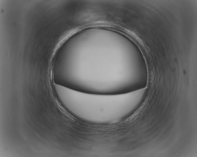 X0000087691413200705040810