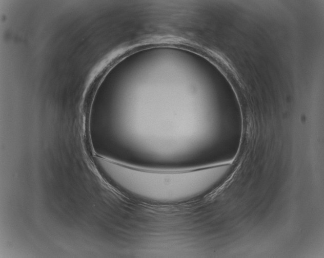 X0000087691414200705040810