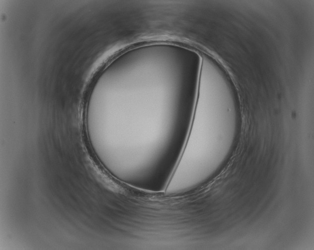 X0000087691416200705040810