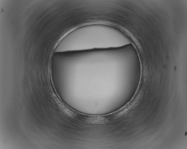 X0000087691417200705040810