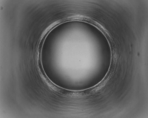 X0000087691418200705040810
