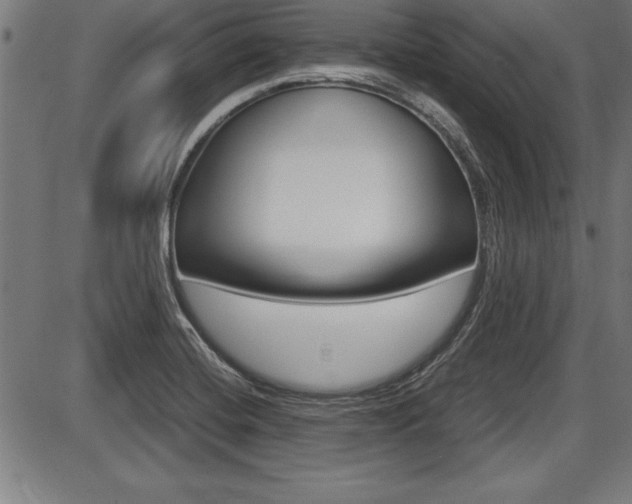 X0000087691420200705040810
