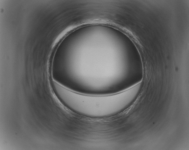 X0000087691422200705040810